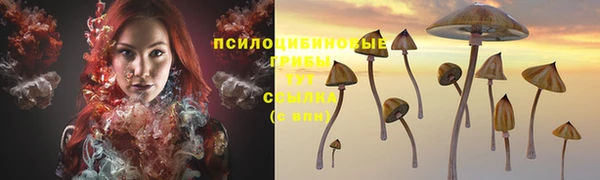 мдма Богданович