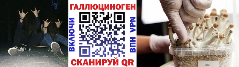Галлюциногенные грибы мицелий  купить   Воскресенск 